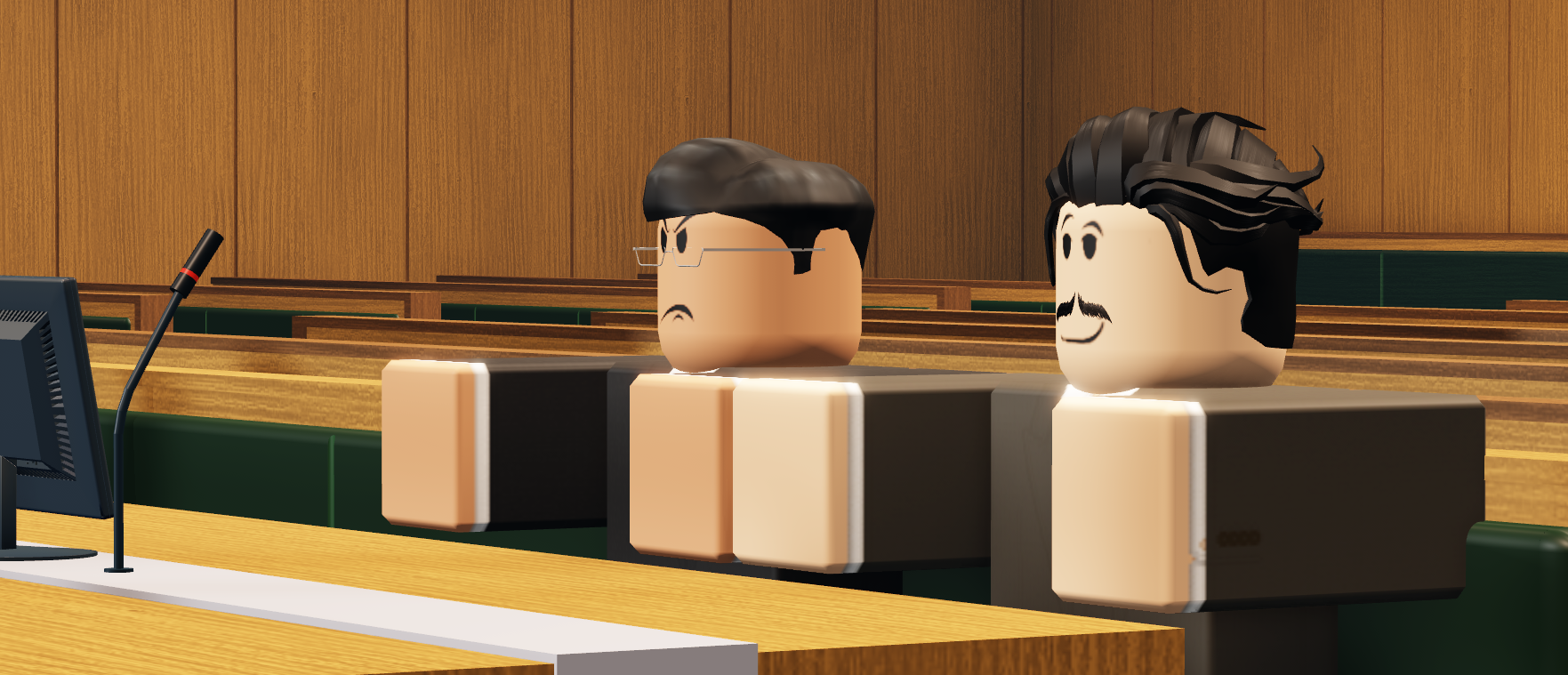 Seanadóir MRBRUCEISMAY22 and Barrister LouisGMiddleton in court